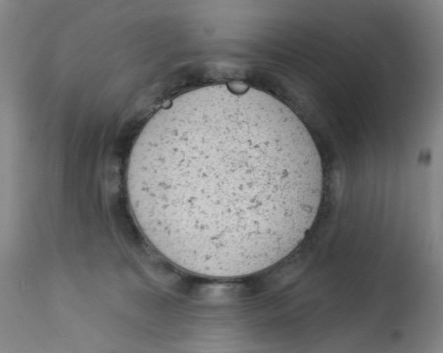 X0000112780323200909171342