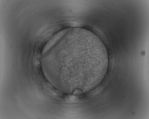 X0000112780325200909171342