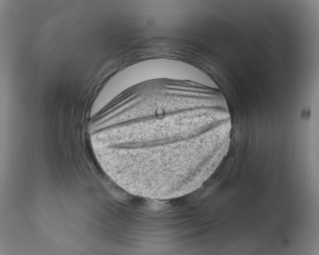 X0000112780333200909171342