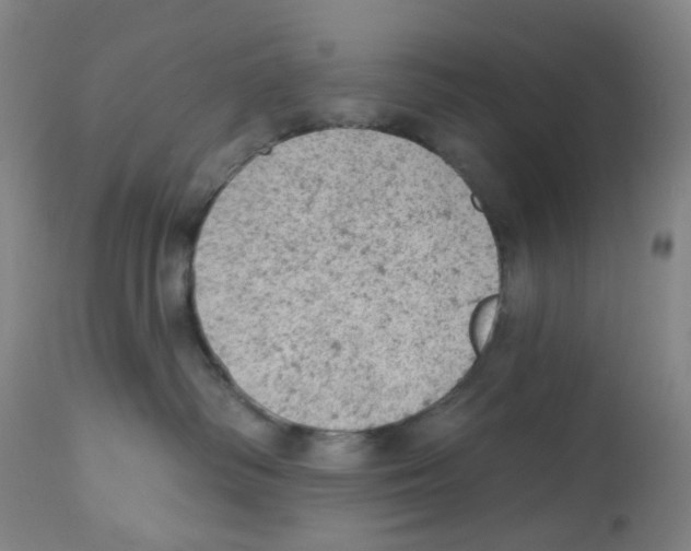 X0000112780334200909171342