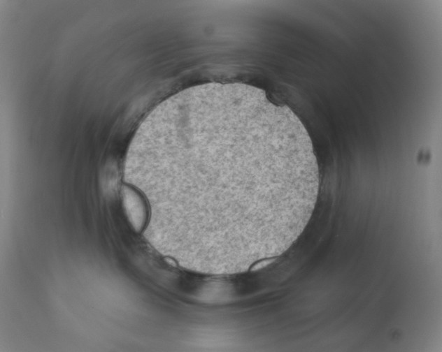 X0000112780335200909171342