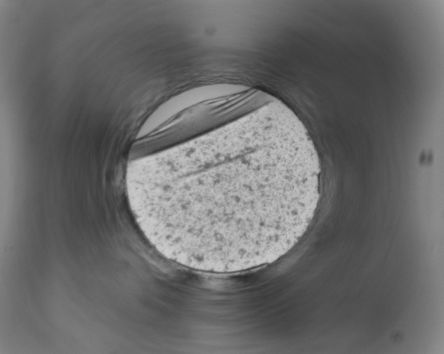 X0000112780336200909171342