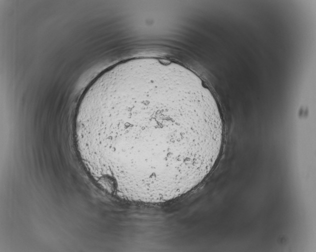 X0000112780337200909171341