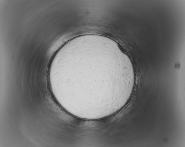 X0000112780341200909171341