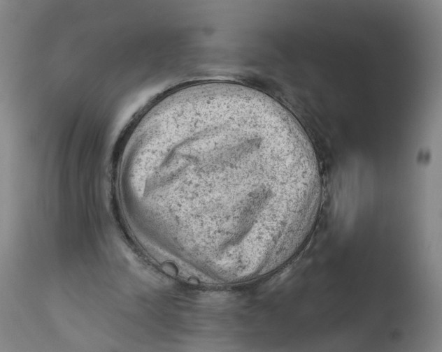 X0000112780342200909171341