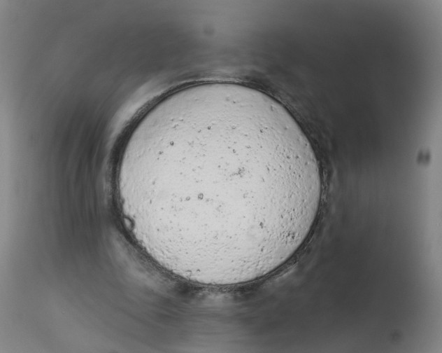 X0000112780343200909171341