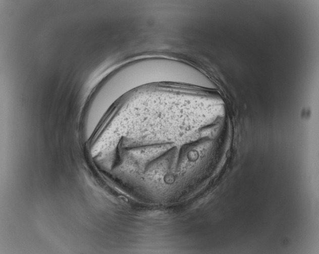 X0000112780344200909171341