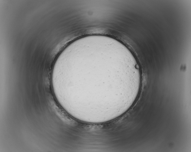 X0000112780345200909171341