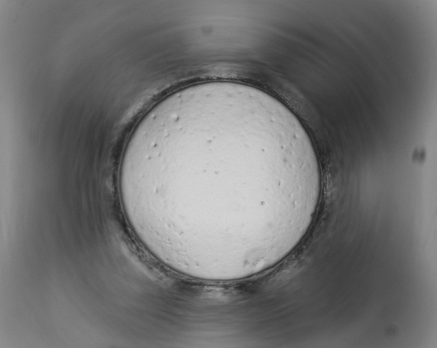 X0000112780347200909171341