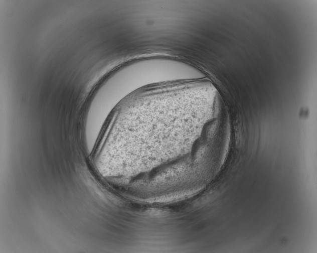 X0000112780350200909171341