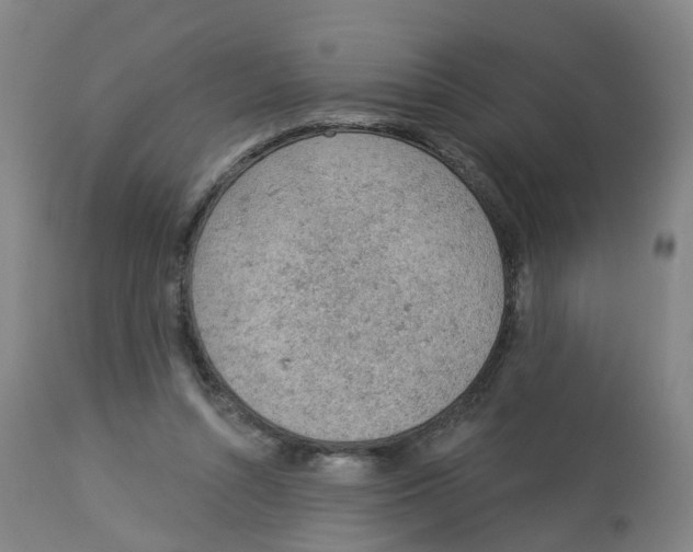 X0000112780352200909171341