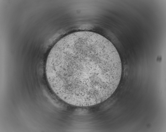 X0000112780354200909171341