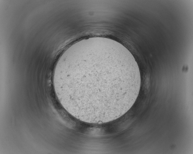 X0000112780356200909171341