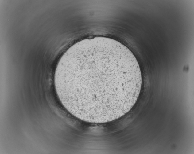 X0000112780362200909171341