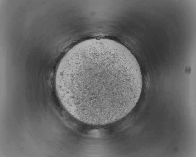 X0000112780364200909171341