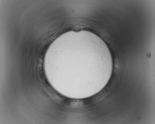 X0000112780369200909171342