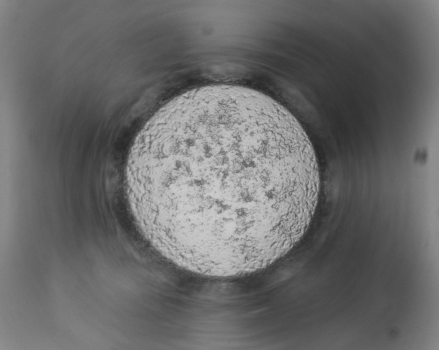 X0000112780371200909171342