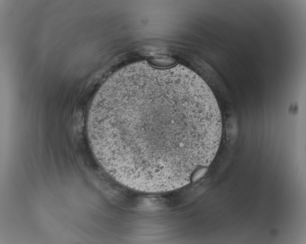 X0000112780372200909171342