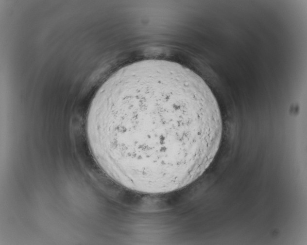 X0000112780375200909171342