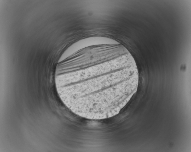 X0000112780380200909171342