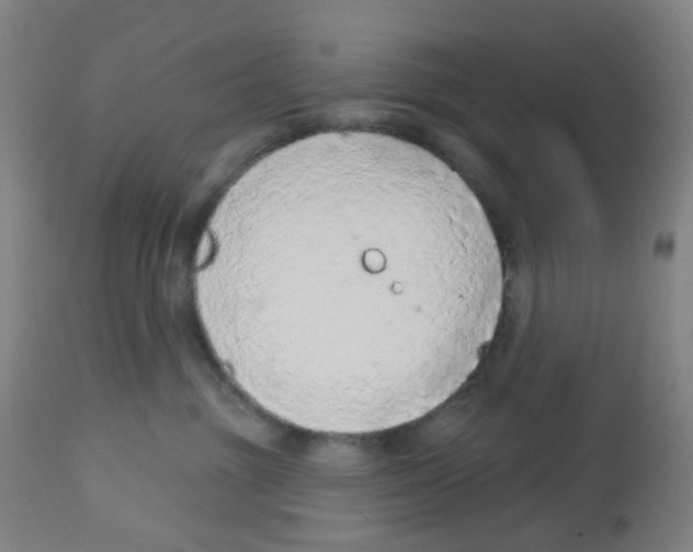 X0000112780381200909171342