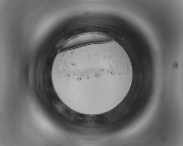 X0000112780382200909171342