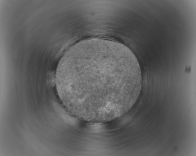 X0000112780383200909171342