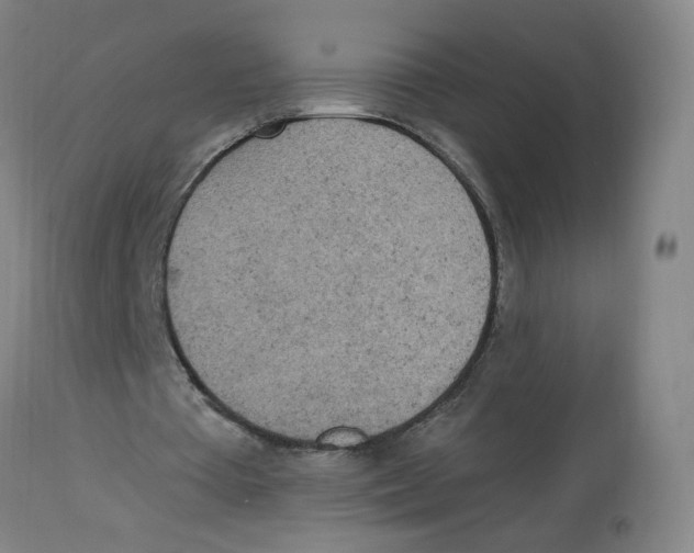 X0000112780385200909171341