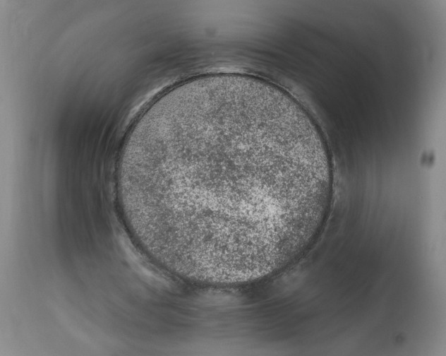 X0000112780386200909171341