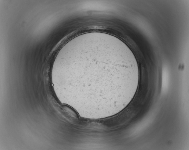 X0000112780387200909171341