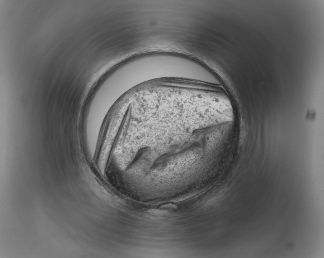 X0000112780391200909171341