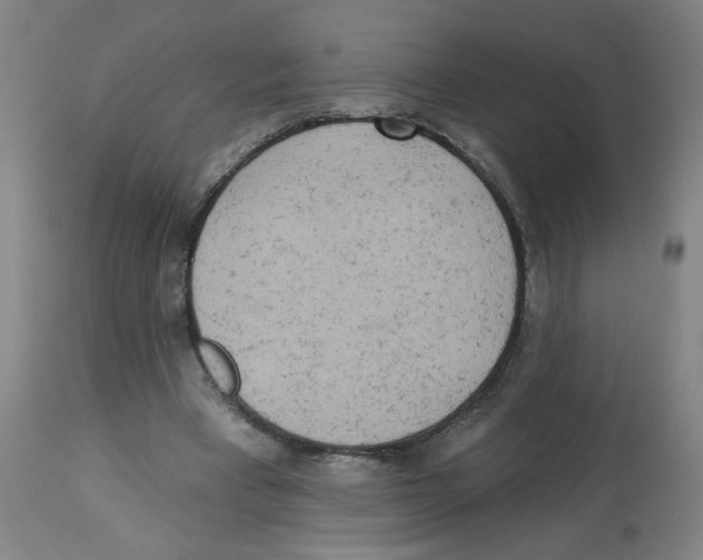 X0000112780393200909171341