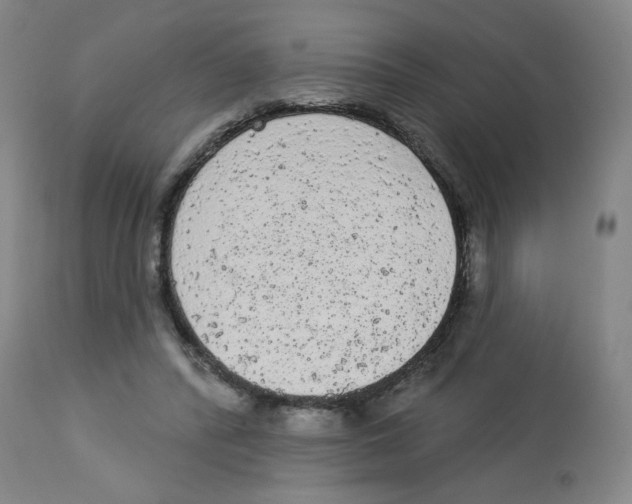 X0000112780400200909171341