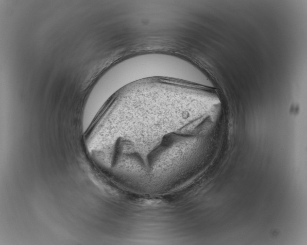 X0000112780401200909171341