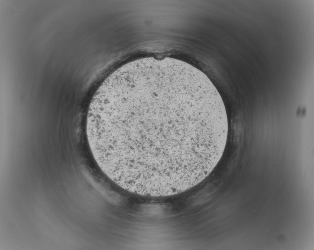 X0000112780404200909171341