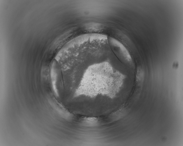 X0000112780409200909171341