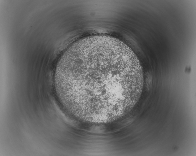 X0000112780410200909171341