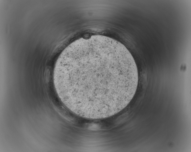 X0000112780412200909171340