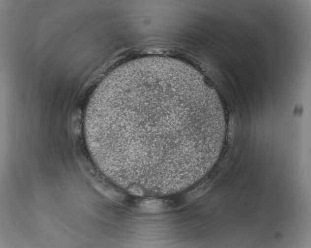 X0000112780413200909171340