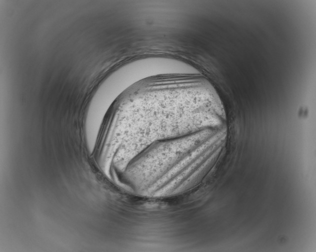 X0000112780415200909171340