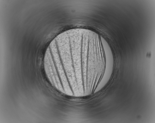 X0000112780417200909171340