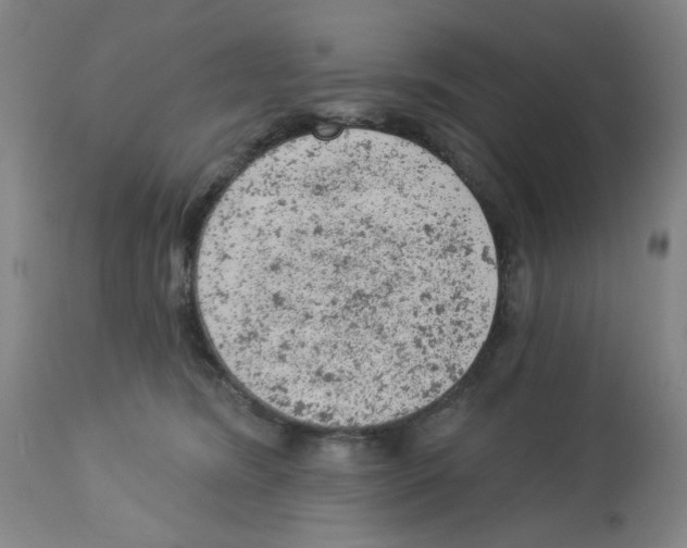 X0000112780420200909171340