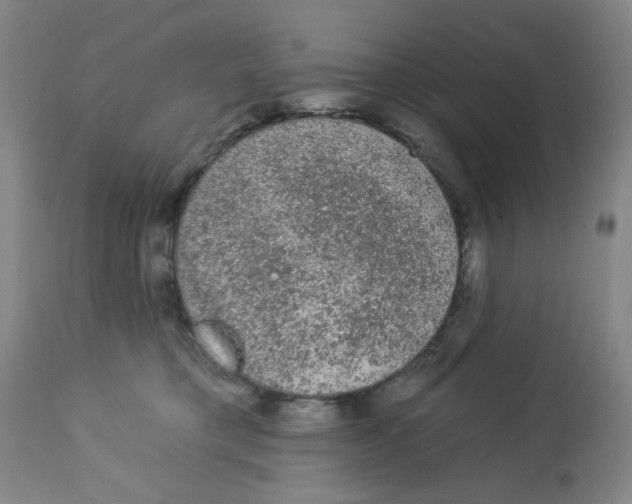 X0000112780421200909171340