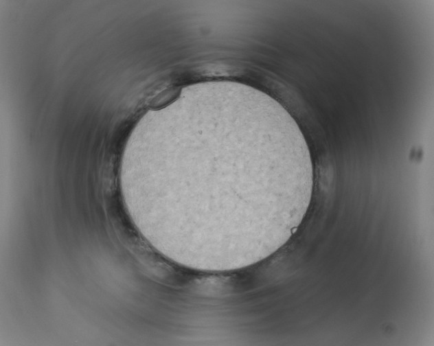 X0000112780422200909171340