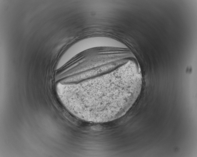 X0000112780423200909171340