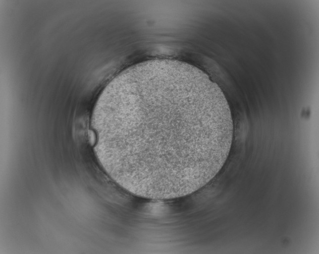 X0000112780425200909171340