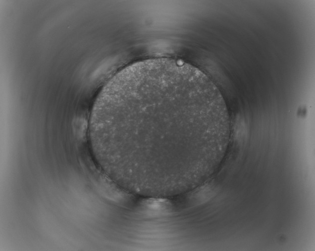 X0000112780427200909171340