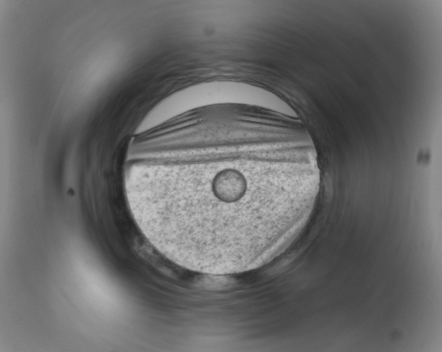 X0000112780429200909171340