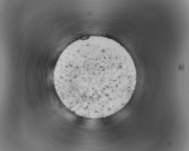 X0000112780432200909171340