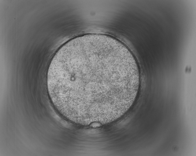 X0000112780433200909171339